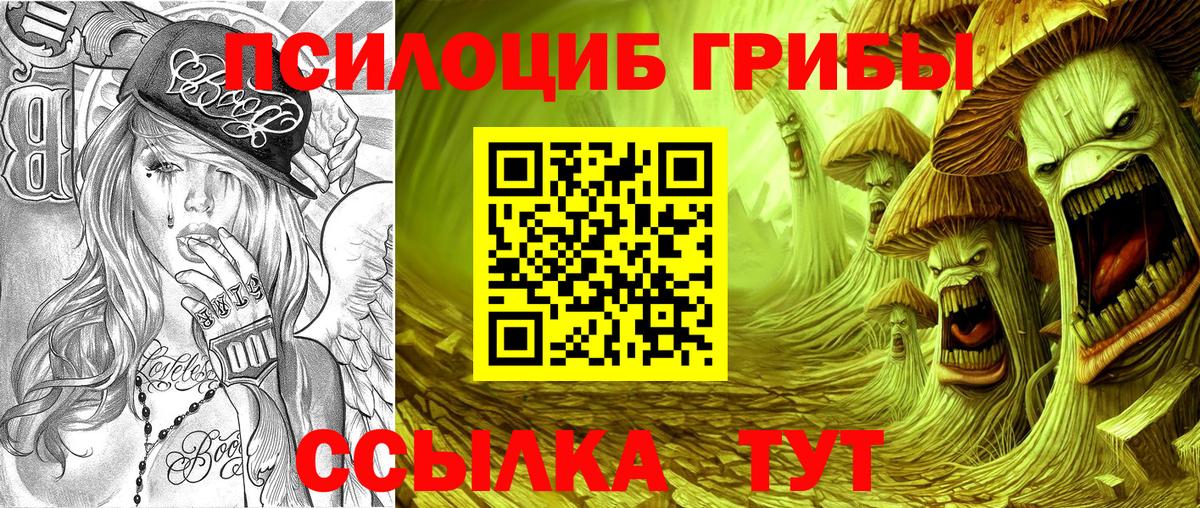 Петрозаводск  Галлюциногенные грибы мухоморы  Вход с VPN  Псилоцибиновые грибы Psilocybe 